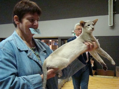 20121021_227 (Expo)